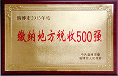 2013年缴税500强